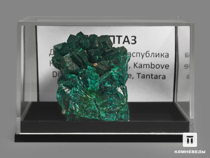 Диоптаз в пластиковом боксе, 3,2х2,6х2,4 см, 10-55/25, фото 2