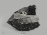 Морион (чёрный кварц), сросток кристаллов 10,3х7,5х6,5 см, 9372, фото 1