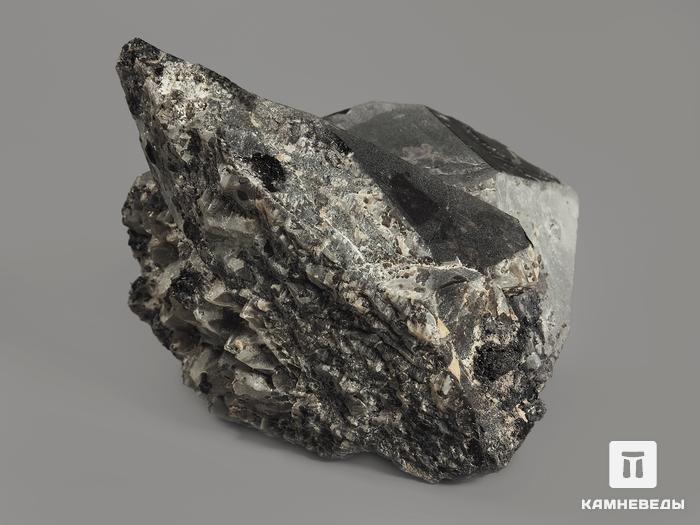 Морион (чёрный кварц), сросток кристаллов 10,3х7,5х6,5 см, 9372, фото 2
