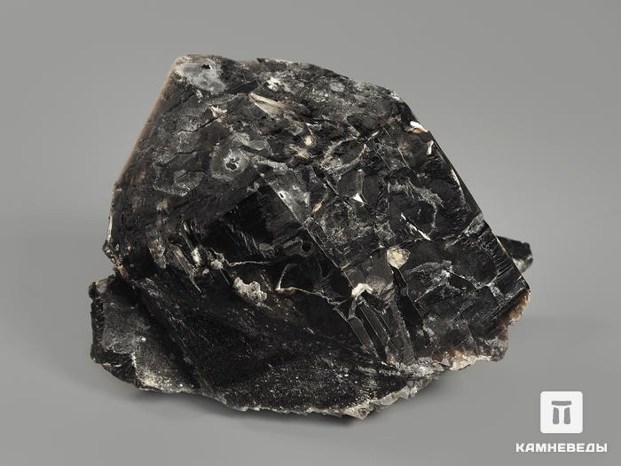 Морион (чёрный кварц), сросток кристаллов 10,3х7,5х6,5 см, 9372, фото 3