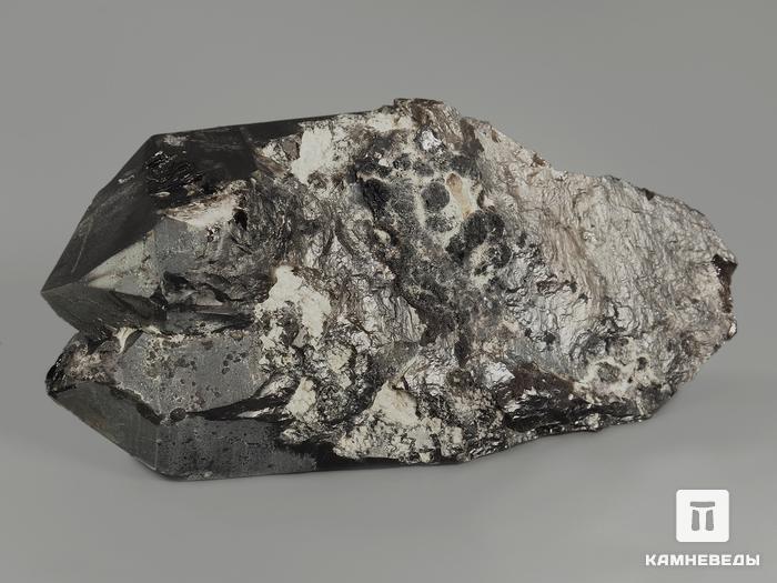 Морион (чёрный кварц), сросток кристаллов 10,8х5,4х3,3 см, 9370, фото 2