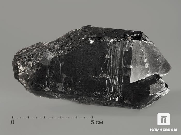 Морион (чёрный кварц), сросток кристаллов 10,8х5,4х3,3 см, 9370, фото 1