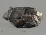 Раухтопаз (дымчатый кварц), кристалл 8х4,5х4 см, 9376, фото 1