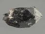 Раухтопаз (дымчатый кварц), кристалл 8х4,5х4 см, 9376, фото 4