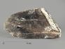 Раухтопаз (дымчатый кварц), кристалл 10,3х6х4,1 см, 9378, фото 1