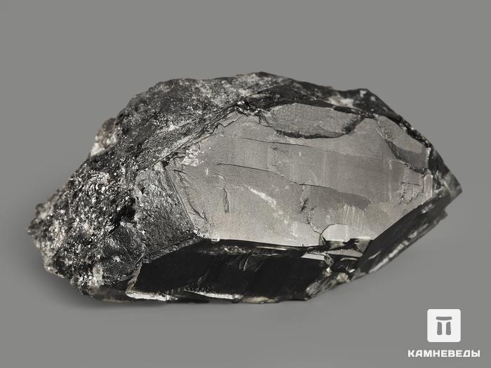 Морион (чёрный кварц), кристалл 7,9х4,9х3,6 см, 9359, фото 2