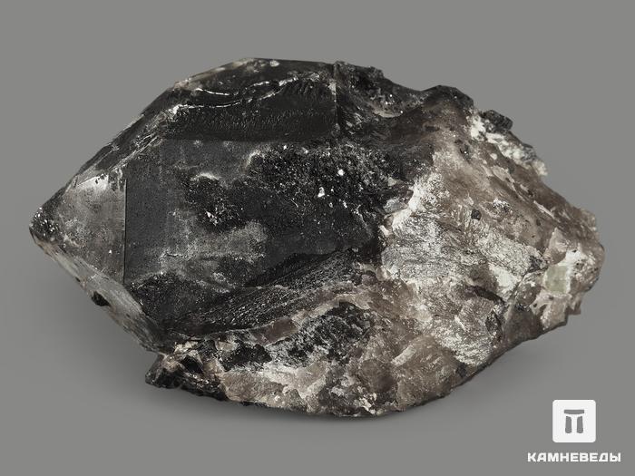Морион (чёрный кварц), кристалл 8,4х5,2х4,8 см, 9363, фото 2