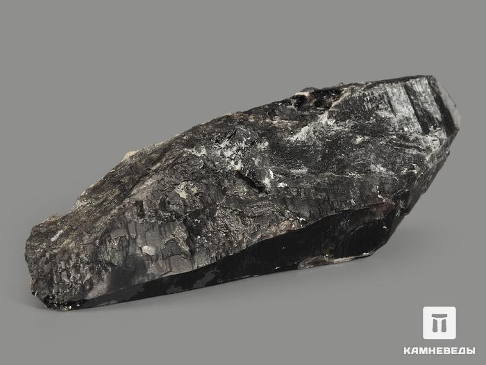 Морион (чёрный кварц), кристалл 10,7х3,8х3,3 см, 9366, фото 2