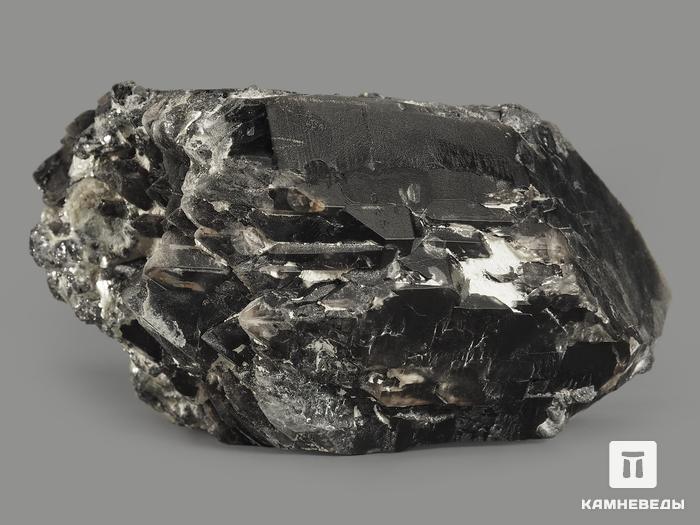 Морион (чёрный кварц), кристалл 8,7х6,5х5 см, 9369, фото 2