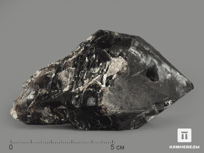 Морион (чёрный кварц), кристалл 9,5х6,1х4,4 см, 9368, фото 1