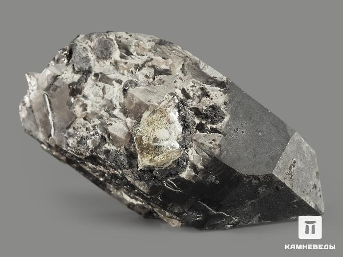 Морион (чёрный кварц), кристалл 9,5х6,1х4,4 см, 9368, фото 2