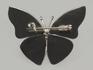 Брошь «Бабочка» с турмалином полихромным, 4,5х3,5 см, 42-10/9, фото 2
