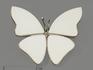 Брошь «Бабочка» с кахолонгом (белым опалом), 4,3х3,5 см, 1213, фото 1