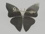 Брошь «Бабочка» с кружевным агатом, 4,4х3,9 см, 1197, фото 2