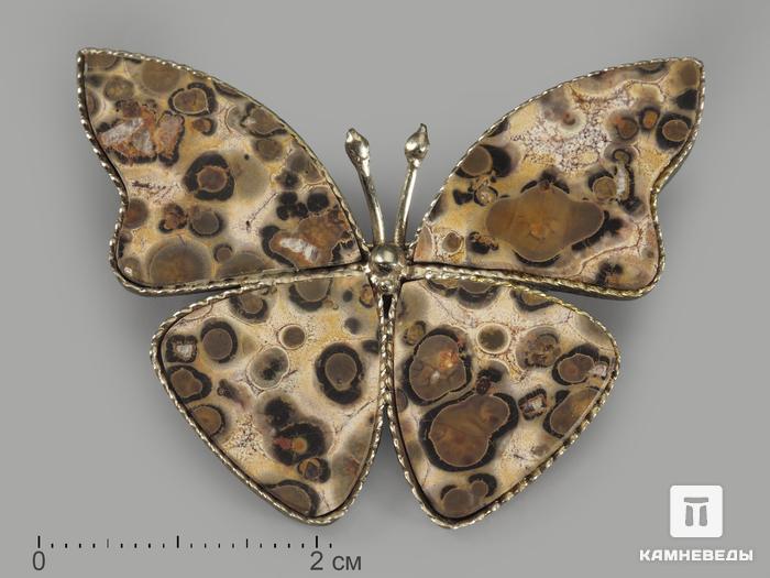Брошь «Бабочка» с яшмой леопардовой, 3,9х2,9 см, 1224, фото 1