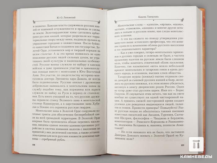 Книга: Липовский Ю.О. «Камень Тамерлана», 50-28, фото 2