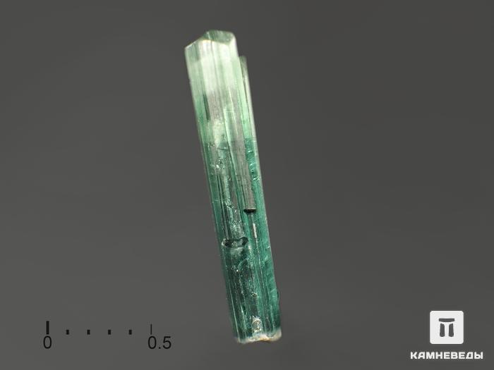 Турмалин (индиголит), кристалл 1,5х0,3 см, 9446, фото 2