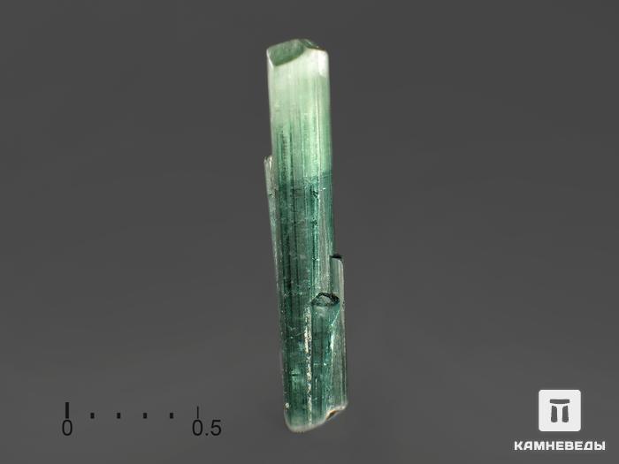 Турмалин (индиголит), кристалл 1,5х0,3 см, 9446, фото 1