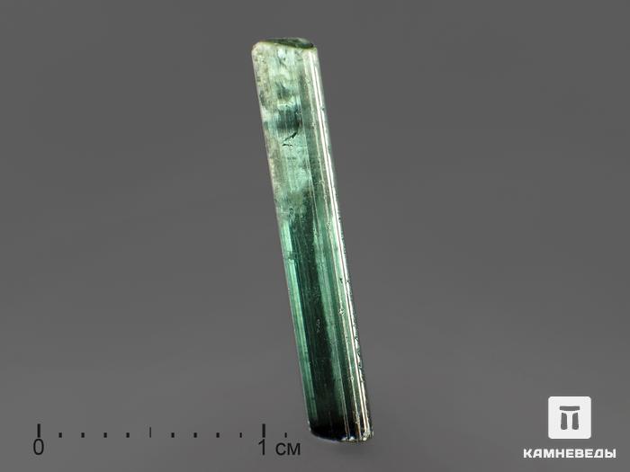 Турмалин (индиголит), кристалл 1,7х0,3 см, 9449, фото 1