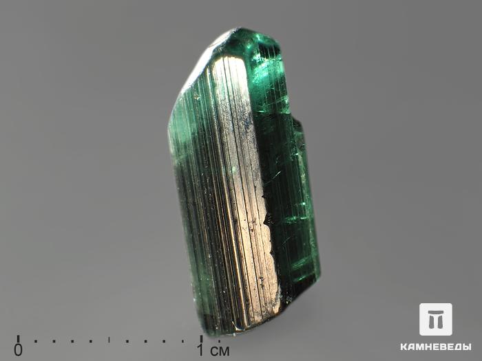 Турмалин (индиголит), кристалл 1,5х0,6 см, 9442, фото 2