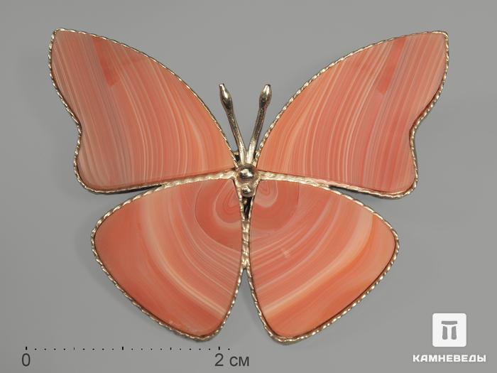 Брошь «Бабочка» с сердоликовым агатом, 4,2х3,3 см, 9628, фото 1