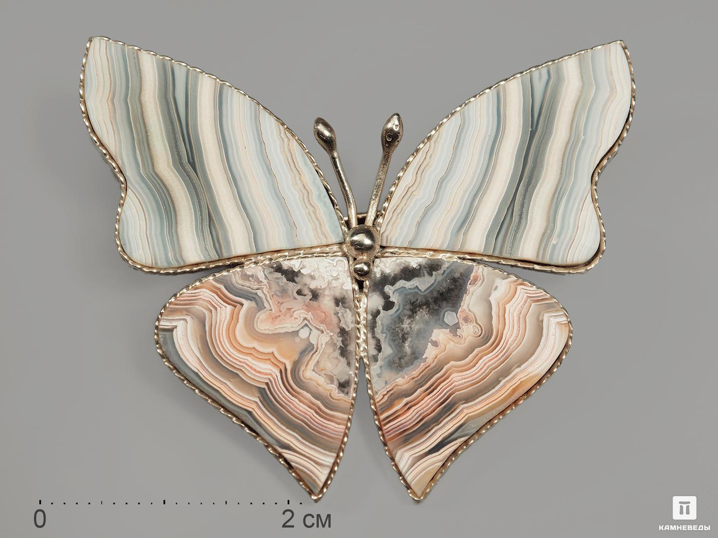 Брошь «Бабочка» с кружевным агатом, 4,4х3,7 см, 9623, фото 1