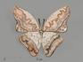 Брошь «Бабочка» с кружевным агатом, 3,5х3,2 см, 9621, фото 1