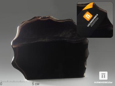 Обсидиан. Срез серебристого обсидиана (обсидиановое зеркало), 15,2х11,8х3,1 см