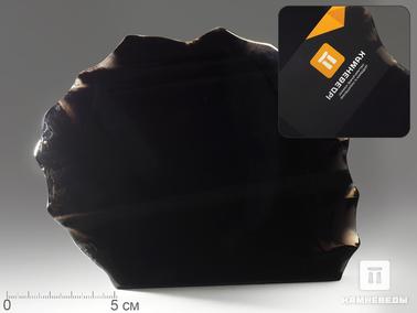 Обсидиан. Срез обсидиана (обсидиановое зеркало), 15,5х12,4х4,1 см