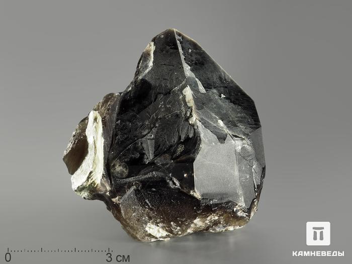 Морион (чёрный кварц), кристалл 6,5х6х4,6 см, 9352, фото 1