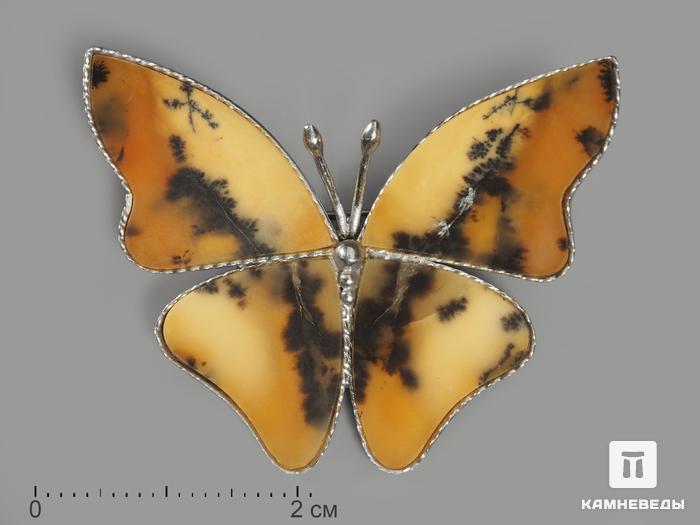 Брошь «Бабочка» с дендритовым агатом, 3,9х3 см, 9637, фото 1