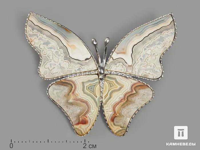 Брошь «Бабочка» с кружевным агатом, 3,9х3,2 см, 9636, фото 1