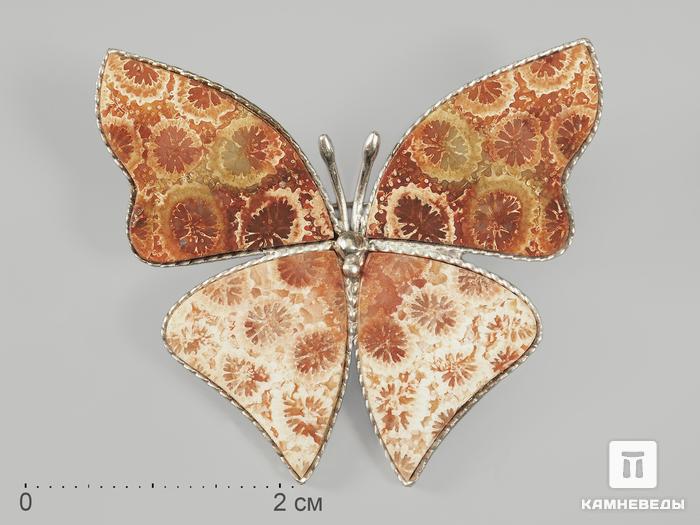 Брошь «Бабочка» с окаменелым кораллом, 3,9х3,6 см, 9695, фото 1