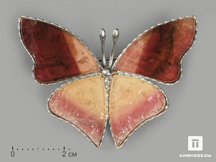 Брошь «Бабочка» с турмалином полихромным, 3,5х2,7 см, 9690, фото 1