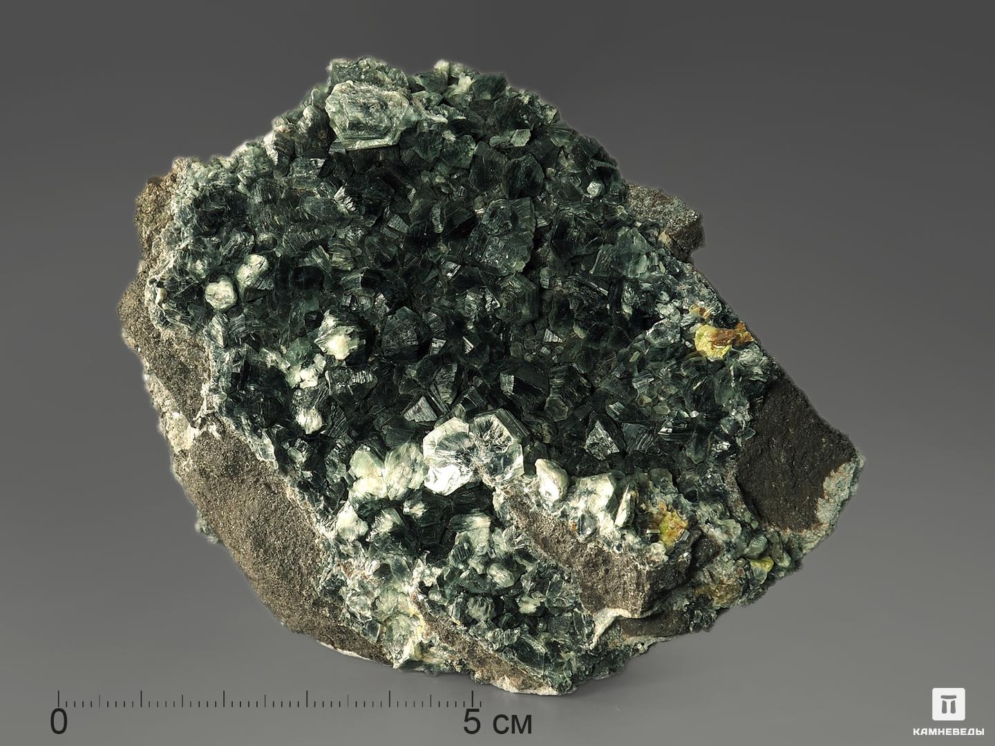 Клинохлор (серафинит), 9,8х7,6х3,6 см клинохлор серафинит на магнетите 11 6х6 6х6 см