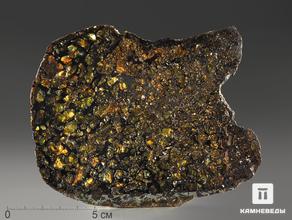 Метеорит «Сеймчан» с оливином, пластина 13,9х10,8х0,3 см (158,6 г)