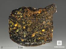 Метеорит «Сеймчан» с оливином, пластина 13,5х10,7х0,3 см (153,2 г)