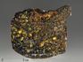Метеорит «Сеймчан» с оливином, пластина 13,5х10,7х0,3 см (153,2 г), 9823, фото 1