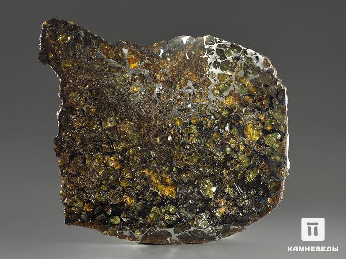 Метеорит «Сеймчан» с оливином, пластина 13,5х10,7х0,3 см (153,2 г), 9823, фото 2