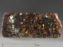 Метеорит «Сеймчан» с оливином, пластина 9,8х4х0,3 см (50 г), 11-15/20, фото 1