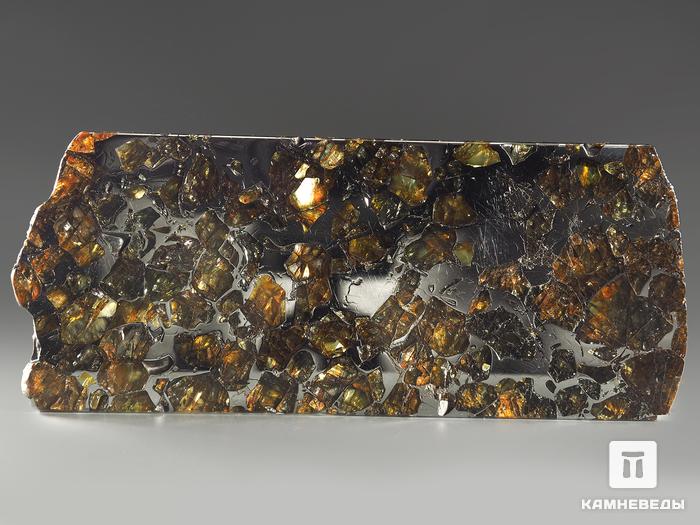 Метеорит «Сеймчан» с оливином, пластина 9,8х4х0,3 см (50 г), 11-15/20, фото 2