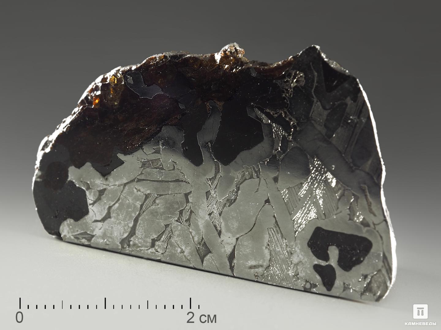 Метеорит «Сеймчан» с оливином и хромитом, срез 5,3х3х2,3 см (93,9 г), 9842, фото 1