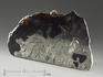 Метеорит «Сеймчан» с оливином и хромитом, срез 5,3х3х2,3 см (93,9 г), 9842, фото 1