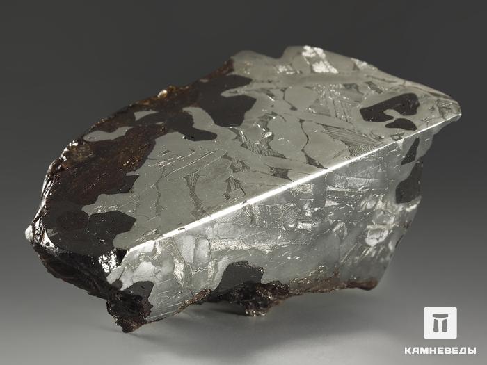 Метеорит «Сеймчан» с оливином и хромитом, срез 5,3х3х2,3 см (93,9 г), 9842, фото 2