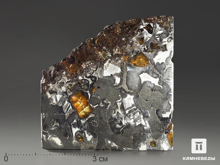 Метеорит «Сеймчан» с оливином и хромитом, пластина 4,8х4,7х0,2 см (25,3 г), 11-15/1, фото 1