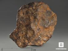 Метеорит «Чинге», осколок 5,5х4,7х2 см (121,4 г)