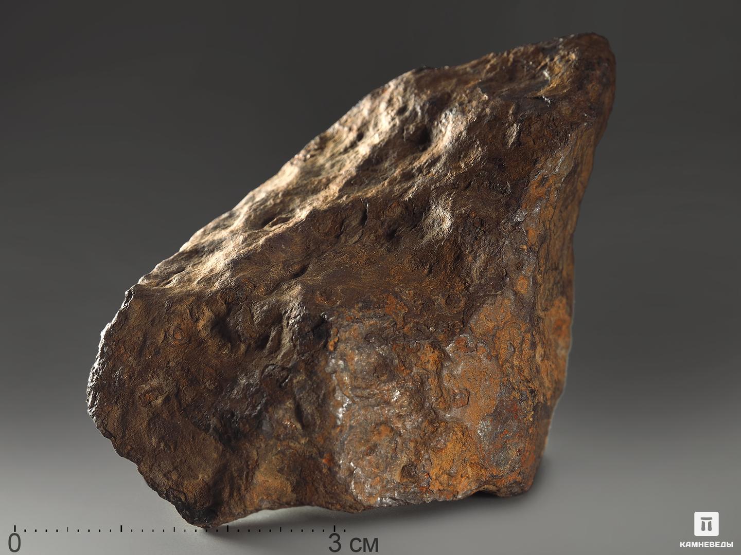 Метеорит «Чинге», осколок 7,2х4,6х2,9 см (223,8 г) железный ганс