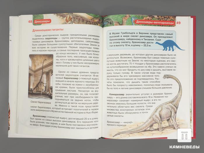 Книга: И. В. Рысакова «Динозавры. Детская энциклопедия», 10017, фото 2