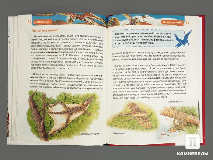 Книга: И. В. Рысакова «Динозавры. Детская энциклопедия», 10017, фото 3