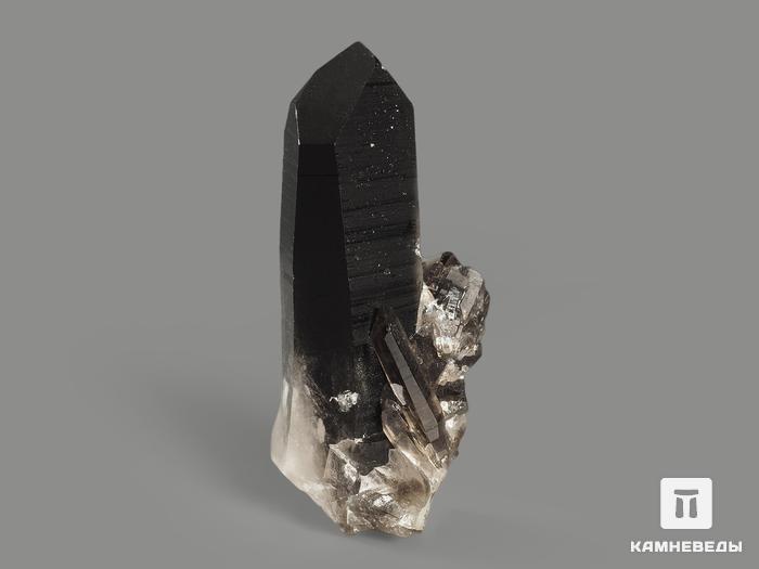 Раухтопаз (дымчатый кварц), сросток кристаллов 6,9х3,2х2,2 см, 9909, фото 2